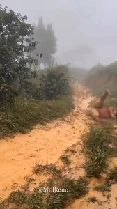 812K views · 7K reactions | Most funniest moments 藍 | Mr Ikeno | Facebook