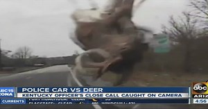 VIDEO: Dash-cam shows deer hit police cruiser