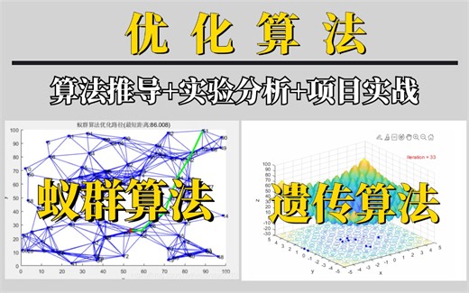 这绝对是我看到过最好的优化算法！2小时讲完遗传算法与蚁群算法！清华大佬带你快速上手！（人工智能、深度学习、机器学习算法、神经网络、图像处理）