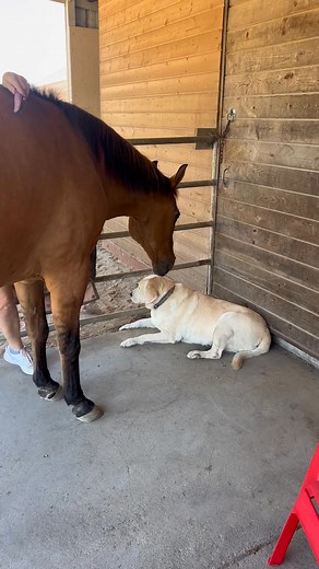 1.8K views | Sharon Mc Killop Monticello on Reels | Facebook