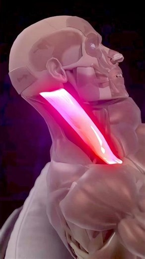 This 30-Second Neck Relief Trick Actually Works! 🤯