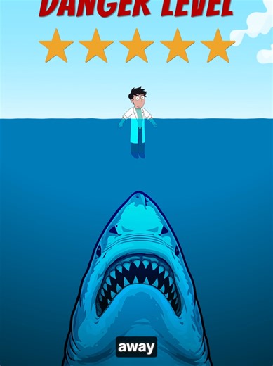 Great White Shark vs. Other Sharks: Are You at Risk?