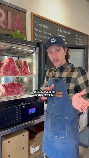 ANATOMY OF THE LOIN