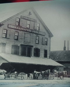 411 reactions · 17 comments | Our local roots are immersed in who we are and what we do every day. That's why we're proud to support the Northeast Organic Family Farm Partnership, and their efforts to keep local organic dairy farms viable for our communities. | Hannaford Supermarkets | Facebook