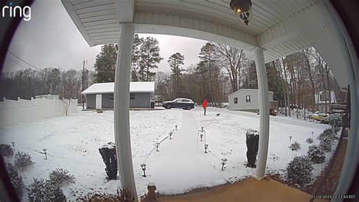 259K views · 5.6K reactions | Max’s first snow! I’m wearing my leopard print PJ’s, hiking boots and Bills bright orange jacket. lol Anything goes on snow days! Max is wearing his sweater from 4 yrs ago when we got him. Awe. He loved the snow. Hope you guys are making the best of the snow day! | Tripp Halstead Updates | Facebook