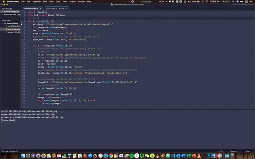 Python 爬取网页中图片教程
