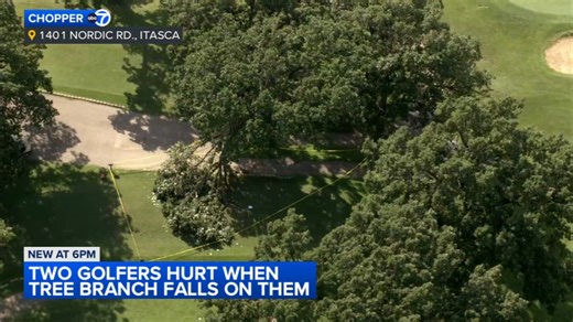 2 golfers injured by large tree branch in Itasca, fire officials say