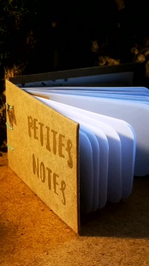 ~ Carnet papillon ~ Mini carnet de note 5cm x 10 cm Reliure copte 72 pages #reliurecopte #papeterie #reliure #papillon #filledegaronne | Fille de Garonne