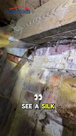 🚨 Damaged Sill Plate Found During New Construction Inspection