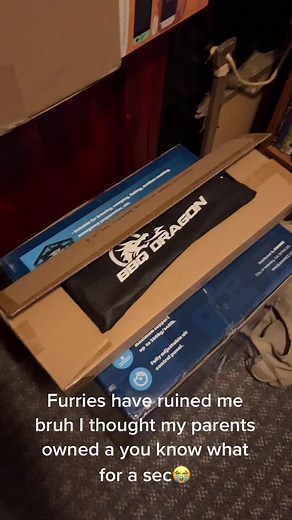 Furries and Bad Dragon: Exploring Furry Culture and Unique Creations