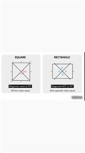 Square vs Rectangle 🔥 Key Differences in 30 Seconds | #MathsShorts #EduNookOfficial #geometry #maths