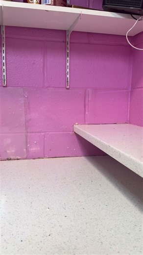 🍦🍫🍬🧇📢 It’s the BEST TIME OF THE YEAR!!!!! Good news! We will be opening this upcoming weekend!!!!! We’re shooting for Saturday but if not we will be open SUNDAY MARCH 1st Let everyone know! SCREAM IT FROM THE ROOF TOPS! #detroit #icecream #local #fup | The Custard Hut