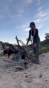 Missing spring backpacking trips for sheds with Dixie. Always have @zoleolifeus clipped to me ❤️ | Bridget Fabel