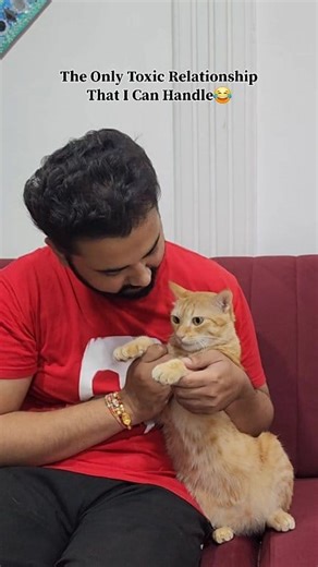 42K views · 2K reactions | Cutest love & hate relationship Ye simba ka style hai❤️ | CheetoSimba | Facebook