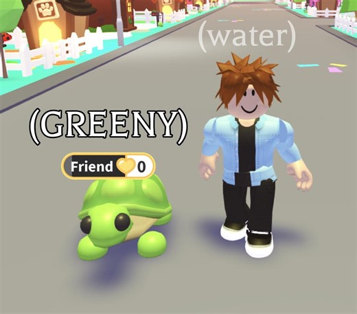 Adopt Me FR Turtle Pet – Greeny (water) In-game Item - Etsy