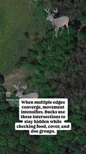 39K views · 211 reactions | Whenever we pick a stand location, the...