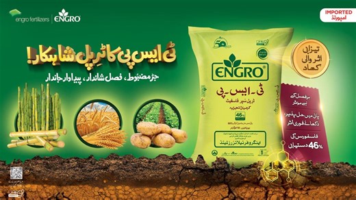 Engro Fertilizers launches AI-powered digital communication for Engro Triple Super Phosphate (TSP) Engro Fertilizers is excited to announce the launch of Engro TSP - a high-quality imported fertilizer brand through Pakistan’s first of its kind AI-powered digital communication. This initiative represents a major milestone in Engro’s journey of innovation, by leveraging data driven communication to connect directly with farmers and the agriculture community. With 46% phosphorus concentration, Engr