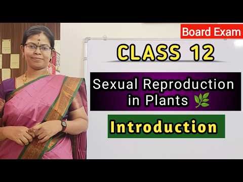 Sexual Reproduction in Plants - Introduction | Class 12 Botany Tamil