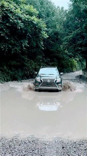 Lexus GX 460 #shortvideo #automobile #4x4rwd #offroad #viralreels #lexus