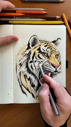 Drawing a TIGER that looks REAL #shorts #tigerdrawing