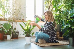 How & When to Use Neem Oil on Indoor & Outdoor Plants | LoveToKnow
