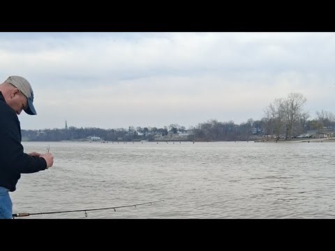 2026 Live Walleye Fishing In Maumee! 🐟