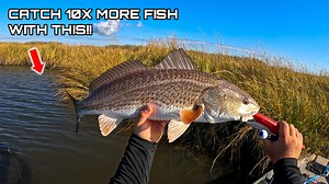 If you’ve ever struggled to catch redfish when the conditions are tough… THIS is the video you need! 🌊🎣 Today I break down the method that consistently produces redfish in ANY situation—dirty water, strong wind, bad tides, pressure… it doesn’t matter. If they’re around, this technique WILL get bit! We’ll cover: ✅ Where redfish hide in tough conditions ✅ The presentation that triggers instant strikes ✅ How to read the water & current ✅ The bait/lure setup that NEVER fails ✅ Tips for staying on 