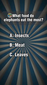Funny quiz about animals. #animalquiz #guess #eat #quizchallenge #knowledge #quiztime #quiz | Be Smart