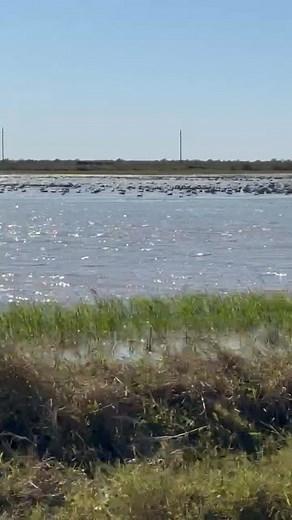 Just a quick drive through the Pintail 🔥 Are you hunting with us this season? | Pintail Hunting Club