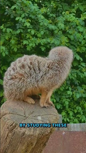 Science Visualizations | 2,000-Year-Old Story | Evolution Of The Co...