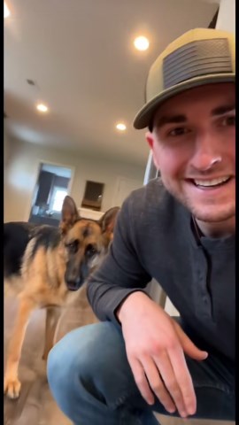 The best dog crates on the market for German shepherds