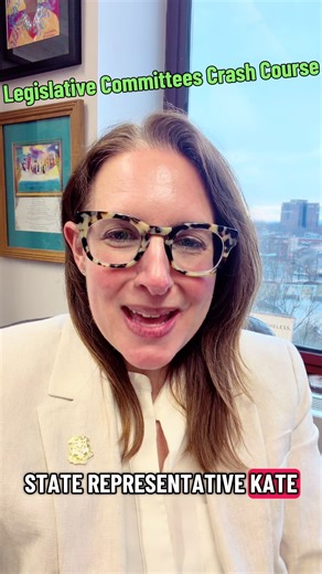 It’s #CivicEducationWeek! After a public hearing what happens to a bill? Watch this crash course about Connecticut legislative committees to learn how the bill you care about can become law. #legislatorlife