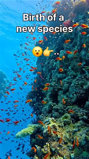 Birth of a new species 😮🤩...subscribe for more👍