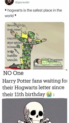 “Harry Potter Fans Waiting for Their Hogwarts Letter 😭 #funnymemes #wizardingworld #harrypottermemes