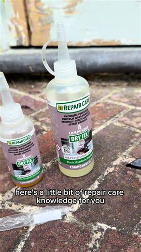 Essential Stage 1 for Timber Repair Projects