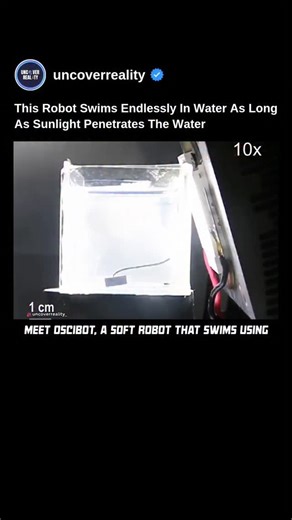 Uncover Reality | From Science to Space on Instagram: "Check Out This Soft-Bodied, Light-Powered Swimming Robot 🌊💡 Scientists from the UCLA Samueli School of Engineering have created a fascinating soft-bodied robot called OsciBot that swims using only light — no batteries, motors, or wires! Made from a special hydrogel, OsciBot moves when illuminated, mimicking how some creatures naturally move toward light, a behavior known as phototaxis. When a laser hits the robot’s tail, that part heats up
