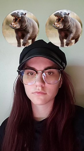 wolves are forever the best animal