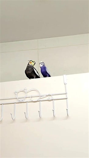 Marina Smith (@marinasmith__)’s videos with Opening of the Gates - Lyphek