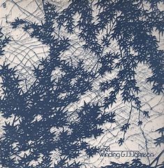 Winding & J.J. Johnson - Israel