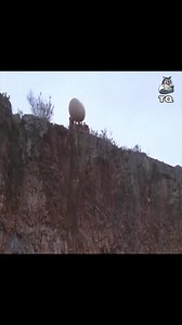 Top movie Netflix 2023 | This is Uganda