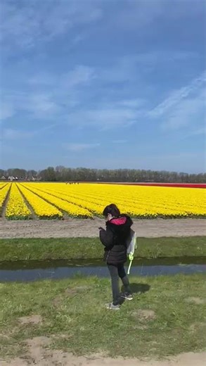 Pedaling Past Petals #tulipfields
