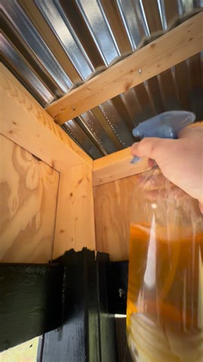 Easy DIY spray to repel bugs, dish soap, orange peels, and water! | Ceith Griffith