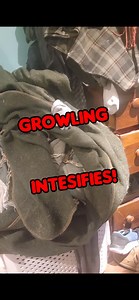 18K views · 612 reactions | Join the Off-Grid Guru on an exciting journey as he purchases a new washing machine for his solar-powered tiny house while cruising in his trusty old military truck!  #OffGridLiving #SolarPoweredHome #TinyHouseLiving #SustainableLiving #EcoFriendly #OffGridGuru #WashingMachine #MilitaryTruck #EcoWarrior #perrytheplatypus | The Off-Grid Guru | Facebook