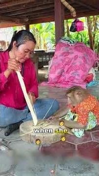 Woman Rescues a Little Monkey and Gains a Super Helpful Friend #MonkeyRescue #CuteMonkey