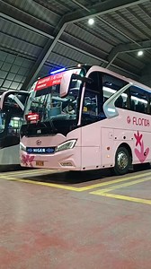 Twin Higer Tourist 🌸🩷 GV Florida Transport Inc. H16 and H18 Point to point #Florida #Transportation #Biyaheros #BusReels #DriveSafe #foryoupageシforyou #fypviralシ #foryoupageシ #foryouシ #PJBusReels #PJBusPhotography | PJ Bus Photography