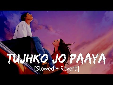 Tujhko jo paaya [Slowed + Reverb] Nikhil Dsouza | Bollywood hindi lofi song