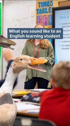 Risa Woods | Your ESOL Expert | If you’re sounding like Busta while you teach, you’re probably talking too fast 💨 When we speak at a pace that feels comfortable for us,... | Instagram