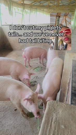 3.8K views · 58 reactions | People often ask me, “Why don’t you cut...