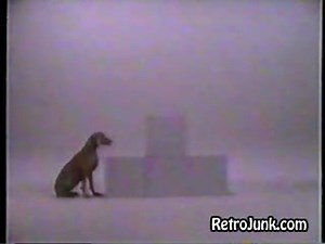 1992 Nickelodeon bumper-Musical dogs | Commercial | Retro Junk