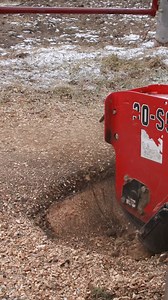 No stump is too big or too small. Message for a quote. | Ben's Stump Grinding